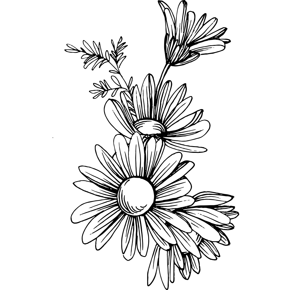German Chamomile Extract