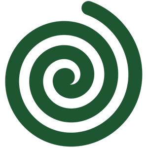 <p>Dizziness & Nausea</p>